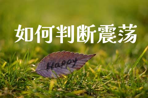 如何判断震荡_https://www.gongyisiwang.com_道指_第1张