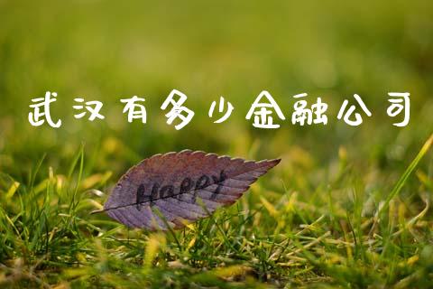 武汉有多少金融公司_https://www.gongyisiwang.com_股指期货_第1张
