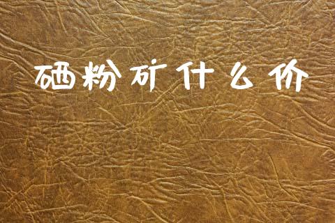 硒粉矿什么价_https://www.gongyisiwang.com_期货公司手续费排名_第1张