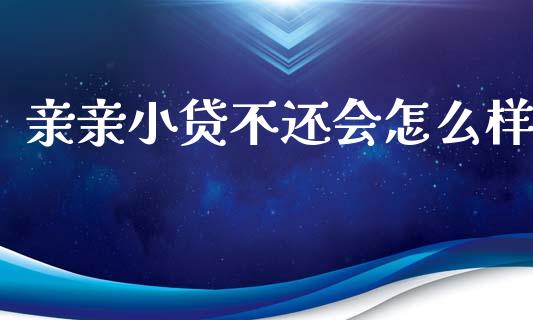 亲亲小贷不还会怎么样_https://www.gongyisiwang.com_期货公司手续费排名_第1张
