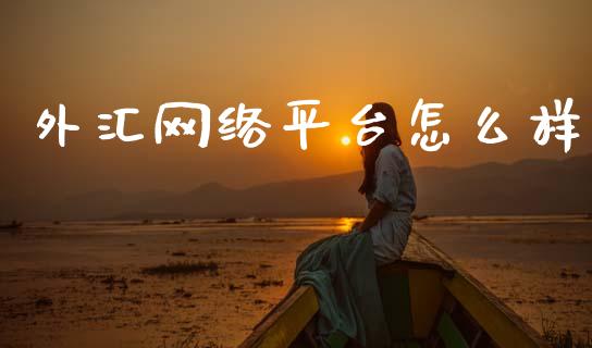外汇网络平台怎么样_https://www.gongyisiwang.com_股指期货交易手续费_第1张