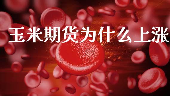 玉米期货为什么上涨_https://www.gongyisiwang.com_期货公司手续费排名_第1张