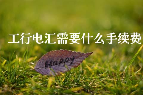 工行电汇需要什么手续费_https://www.gongyisiwang.com_股指期货交易手续费_第1张