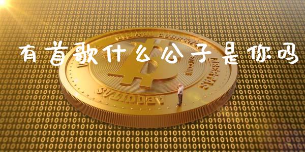有首歌什么公子是你吗_https://www.gongyisiwang.com_焦炭期货手续费_第1张