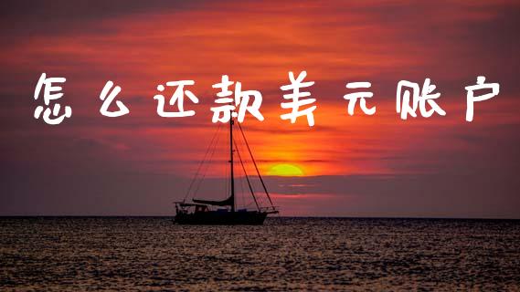 怎么还款美元账户_https://www.gongyisiwang.com_期货公司手续费排名_第1张