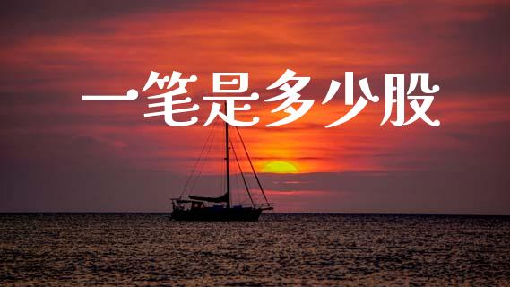 一笔是多少股_https://www.gongyisiwang.com_股指期货交易手续费_第1张