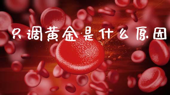 只调黄金是什么原因_https://www.gongyisiwang.com_股指期货交易手续费_第1张