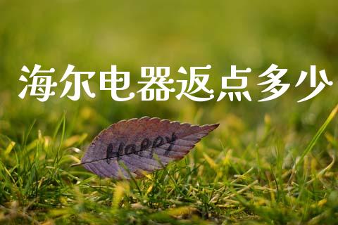 海尔电器返点多少_https://www.gongyisiwang.com_恒指期货_第1张