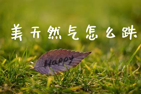 美天然气怎么跌_https://www.gongyisiwang.com_原油期货_第1张