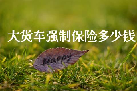 大货车强制保险多少钱_https://www.gongyisiwang.com_广发期货手续费_第1张