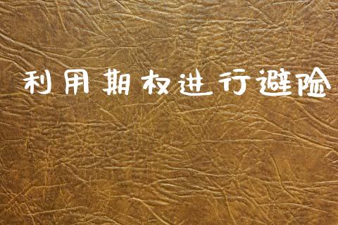 利用期权进行避险_https://www.gongyisiwang.com_恒指期货_第1张