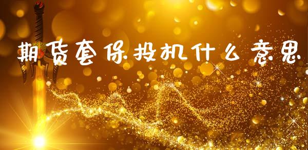 期货套保投机什么意思_https://www.gongyisiwang.com_道指_第1张