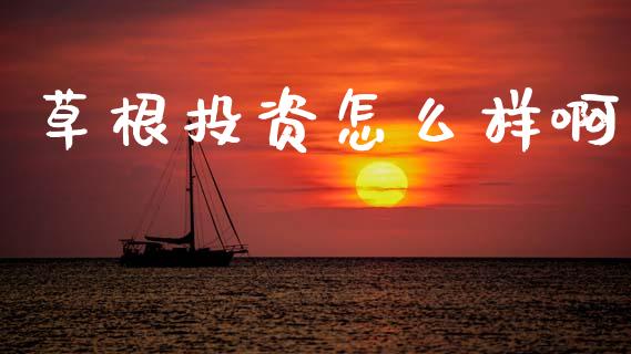 草根投资怎么样啊_https://www.gongyisiwang.com_广发期货手续费_第1张