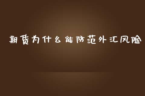 期货为什么能防范外汇风险_https://www.gongyisiwang.com_道指_第1张