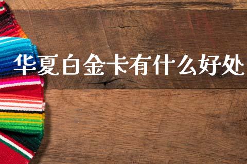 华夏白金卡有什么好处_https://www.gongyisiwang.com_期货公司手续费排名_第1张