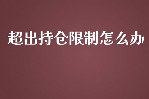 超出持仓限制怎么办_https://www.gongyisiwang.com_期货公司手续费排名_第1张