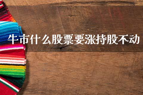 牛市什么股票要涨持股不动_https://www.gongyisiwang.com_焦炭期货手续费_第1张