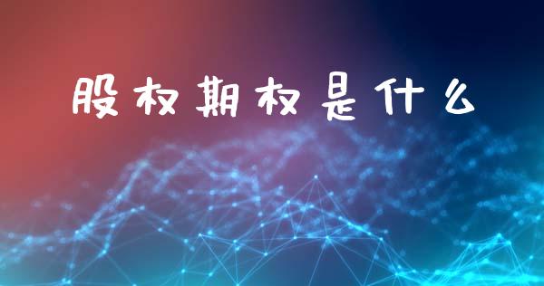 股权期权是什么_https://www.gongyisiwang.com_道指_第1张
