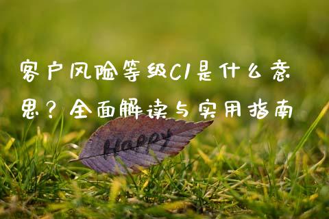 客户风险等级C1是什么意思？全面解读与实用指南_https://www.gongyisiwang.com_焦炭期货手续费_第1张