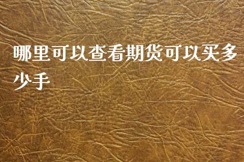 哪里可以查看期货可以买多少手_https://www.gongyisiwang.com_原油期货_第1张