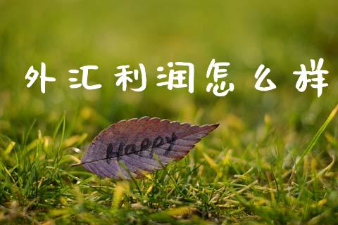 外汇利润怎么样_https://www.gongyisiwang.com_广发期货手续费_第1张