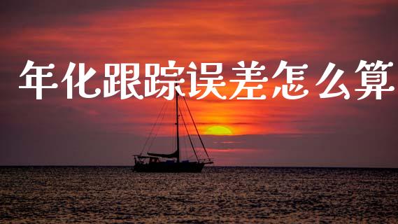 年化跟踪误差怎么算_https://www.gongyisiwang.com_广发期货手续费_第1张