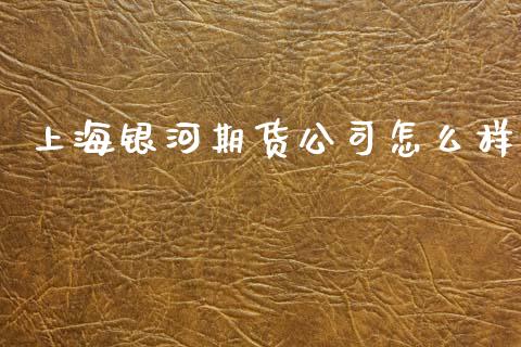 上海银河期货公司怎么样_https://www.gongyisiwang.com_股指期货交易手续费_第1张