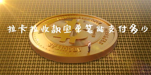 拉卡拉收款宝单笔能支付多少_https://www.gongyisiwang.com_期货公司手续费排名_第1张