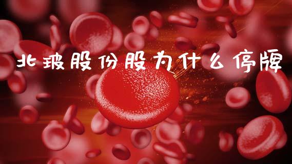 北玻股份股为什么停牌_https://www.gongyisiwang.com_股指期货_第1张