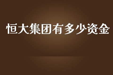 恒大集团有多少资金_https://www.gongyisiwang.com_广发期货手续费_第1张