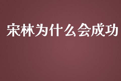 宋林为什么会成功_https://www.gongyisiwang.com_恒指期货_第1张