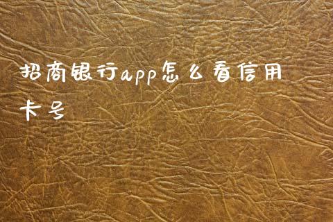 招商银行app怎么看信用卡号_https://www.gongyisiwang.com_广发期货手续费_第1张