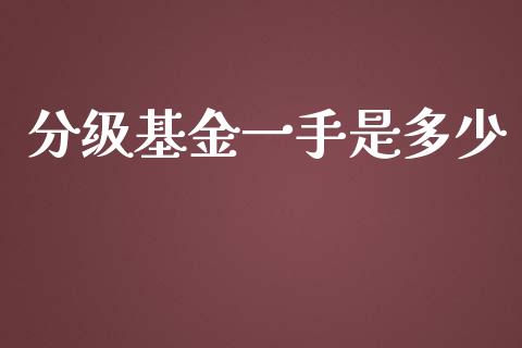 分级基金一手是多少_https://www.gongyisiwang.com_期货公司手续费排名_第1张