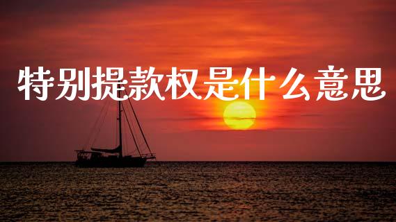 特别提款权是什么意思_https://www.gongyisiwang.com_焦炭期货手续费_第1张