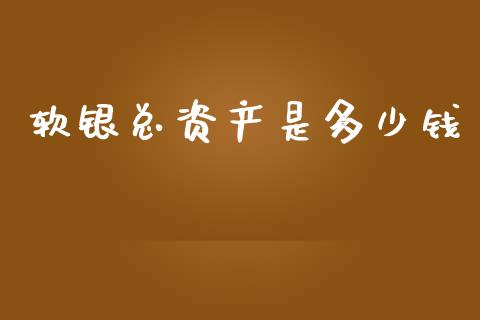 软银总资产是多少钱_https://www.gongyisiwang.com_期货公司手续费排名_第1张