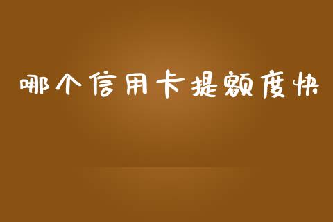 哪个信用卡提额度快_https://www.gongyisiwang.com_期货公司手续费排名_第1张