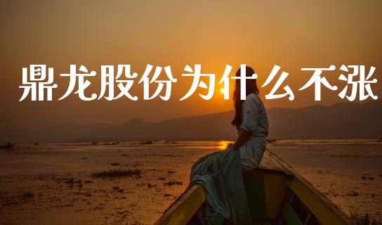 鼎龙股份为什么不涨_https://www.gongyisiwang.com_道指_第1张