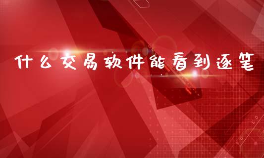 什么交易软件能看到逐笔_https://www.gongyisiwang.com_期货公司手续费排名_第1张