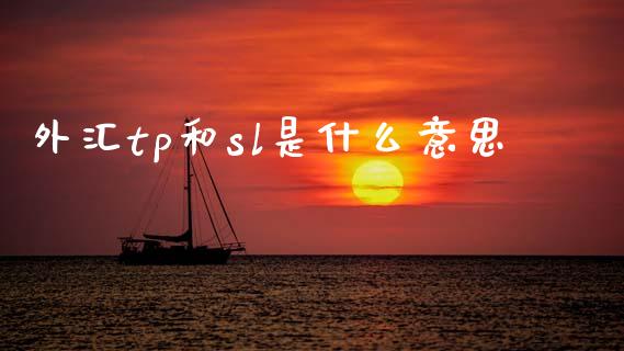 外汇tp和sl是什么意思_https://www.gongyisiwang.com_道指_第1张