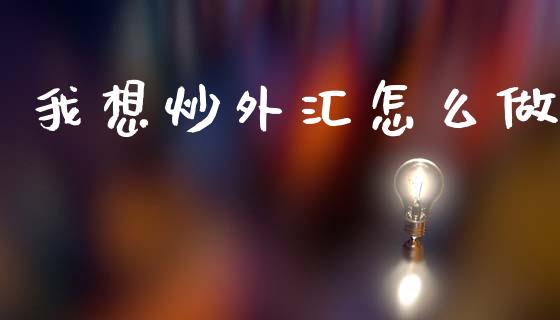 我想炒外汇怎么做_https://www.gongyisiwang.com_焦炭期货手续费_第1张