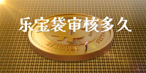 乐宝袋审核多久_https://www.gongyisiwang.com_股指期货_第1张