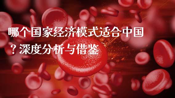 哪个国家经济模式适合中国？深度分析与借鉴_https://www.gongyisiwang.com_原油期货_第1张
