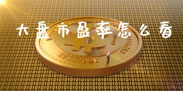大盘市盈率怎么看_https://www.gongyisiwang.com_恒指期货_第1张