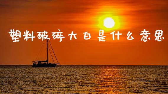 塑料破碎大白是什么意思_https://www.gongyisiwang.com_原油期货_第1张