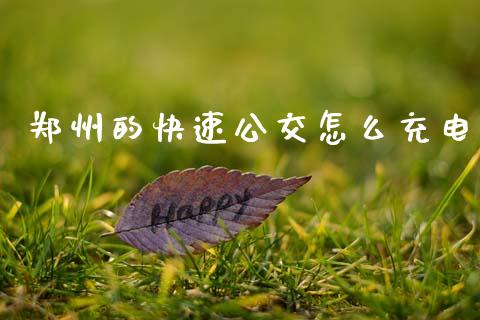 郑州的快速公交怎么充电_https://www.gongyisiwang.com_原油期货_第1张