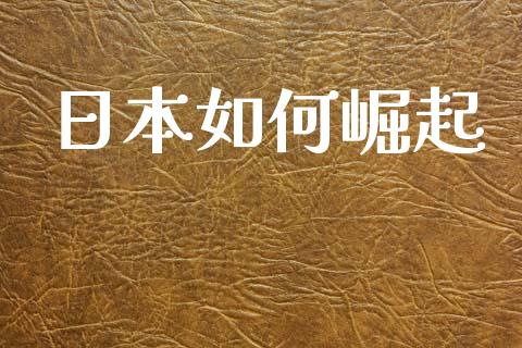 日本如何崛起_https://www.gongyisiwang.com_道指_第1张