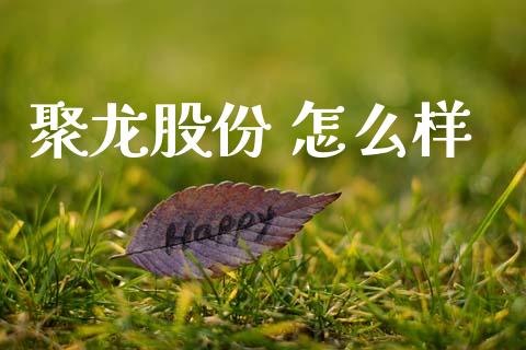 聚龙股份 怎么样_https://www.gongyisiwang.com_焦炭期货手续费_第1张
