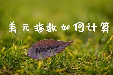 美元指数如何计算_https://www.gongyisiwang.com_股指期货_第1张