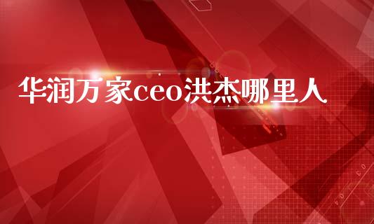 华润万家ceo洪杰哪里人_https://www.gongyisiwang.com_焦炭期货手续费_第1张