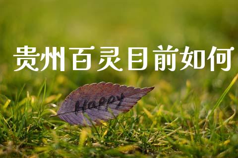 贵州百灵目前如何_https://www.gongyisiwang.com_广发期货手续费_第1张